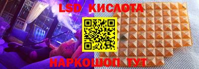 прущие грибы Партизанск