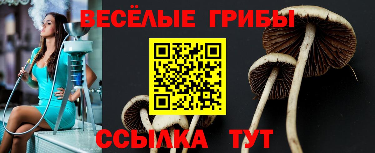 Псилоцибиновые грибы GOLDEN TEACHER Реутов